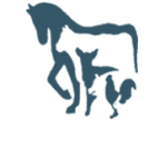 title sponsor