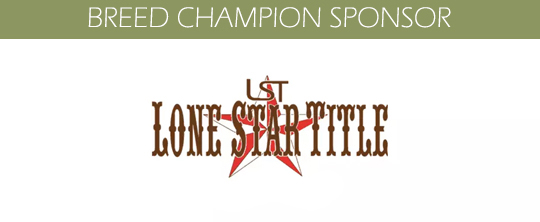 Lone Star Title